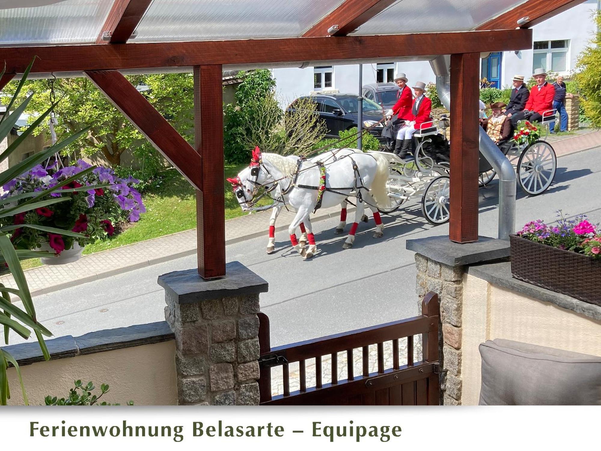 Ferienwohnung Belasarte Бад-Эльстер Экстерьер фото